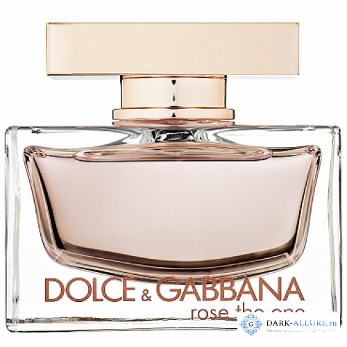 DOLCE AND GABBANA ROSE THE ONE